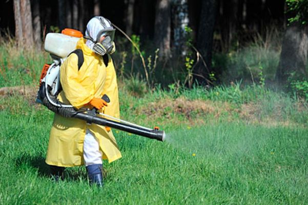 На территориях городских скверов и парков произведут акарицидную обработку