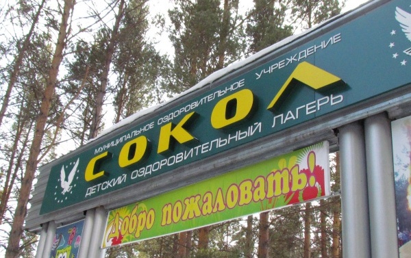 Детей экстренно вывозят из оздоровительного лагеря «Сокол»