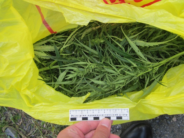 В Ачинске полицейские пресекли незаконный оборот марихуаны