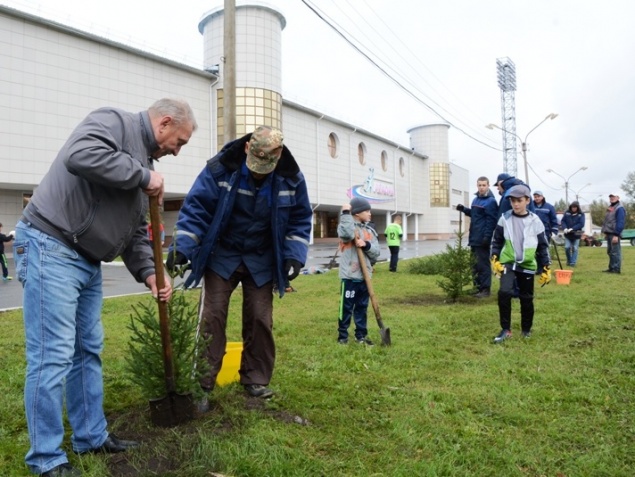 Массовая высадка саженцев в городе продолжается