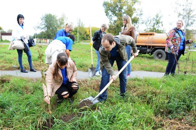 К акции по озеленению присоединяются новые участники