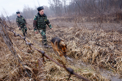 Украина вернула в собственность часть границы с Венгрией