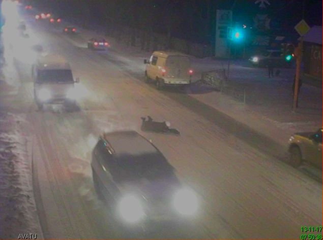 В Ачинске ищут водителя, который сбил пешехода и скрылся с места происшествия