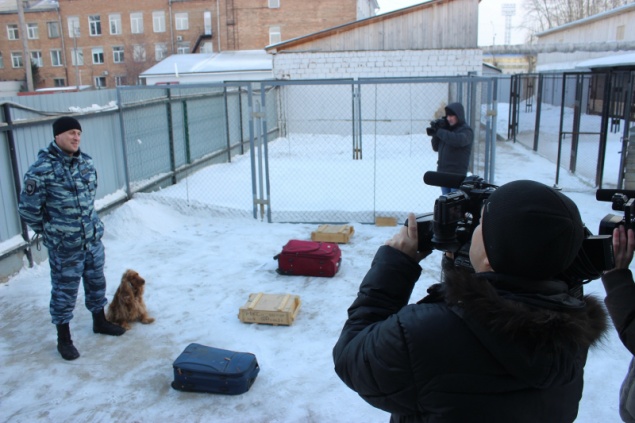 Ачинские журналисты поздравили полицейских служебных собак с наступающим праздником
