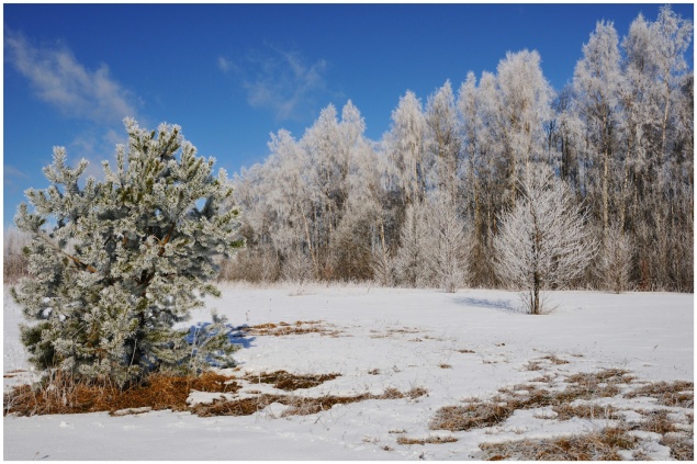 Синоптики обещают в марте крепкие морозы