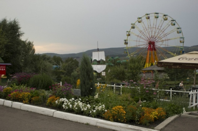 В зоопарке "Роев ручей" чистят пруды и находят тушки подброшенных красноярцами черепах