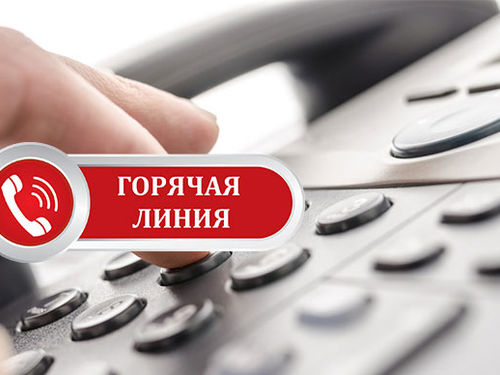 Кадастровая палата проведет горячую линию