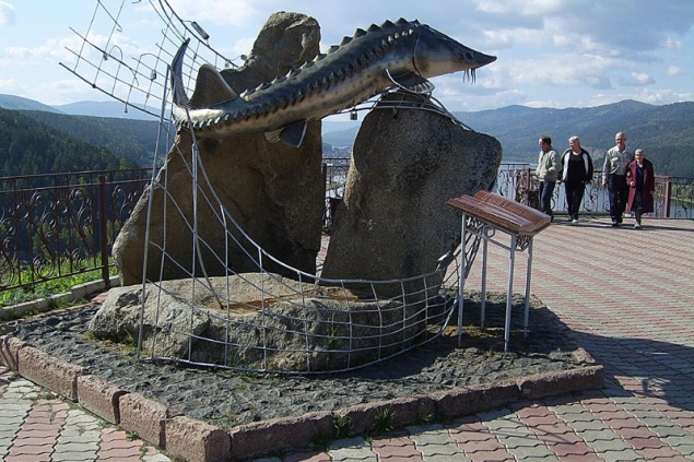 В Красноярске благоустроят смотровую площадку «Царь-рыба»