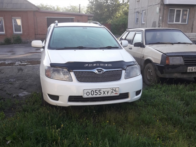 Первые результаты акции "Спаси газон": в ГИБДД направлено 22 заявления