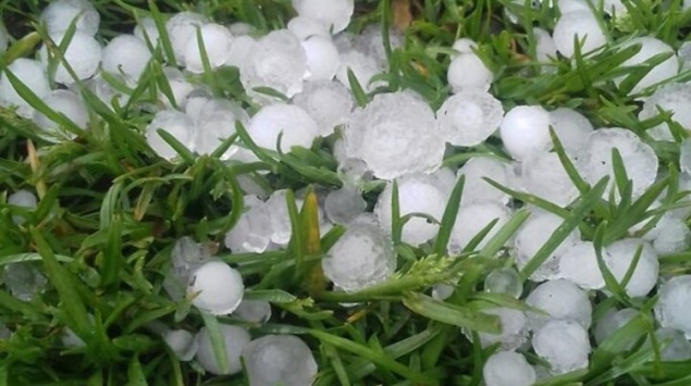 Град размером с перепелиное яйцо уничтожил будущий урожай ачинских дачников