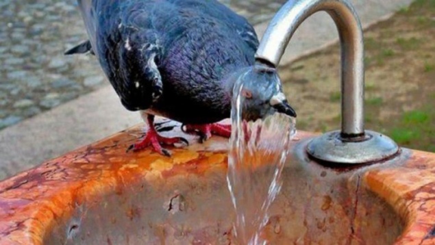 Синоптики рассказали, когда спадёт жара