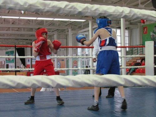 Бокс в Ачинске: три дня поединков сильнейших боксеров края