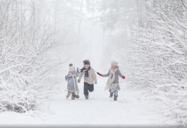 Штормовой ветер и мокрый снег оборвали провода в Красноярском крае и Хакасии