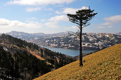 Россия отказалась отдавать Курилы