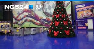 Найден виновный в обрушении на девочку фотозоны на елке мэра