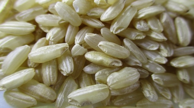 Россельхознадзор обнаружил нарушения в Ачинской Мариинской гимназии