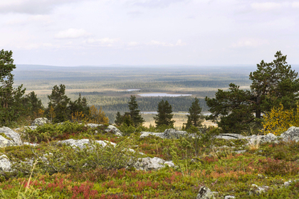 Названа самая хорошая страна мира