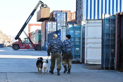 Страны Запада стали активнее торговать с Россией вопреки санкциям