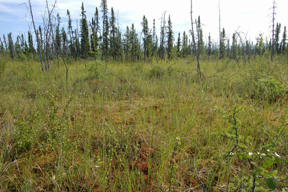 Названа новая угроза Сибири