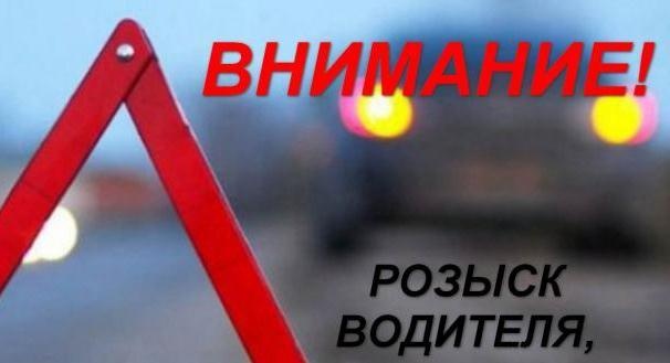 В Ачинске разыскивают сбившего 4-летнего мальчика водителя