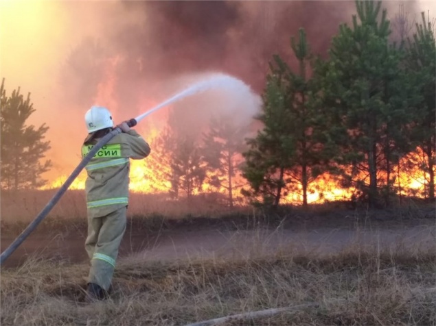 Пожарные показали страшные кадры горящего под Минусинском леса и поблагодарили добровольцев