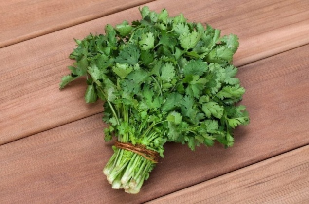 КИНЗА - ПОЛЕЗНЫЕ СВОЙСТВА