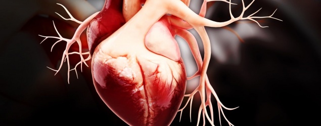 Красноярские медики научились восстанавливать сердечный клапан пациента из его же тканей