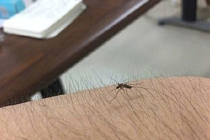 Женщины массово обнажили волосатые ноги