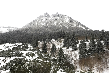 Стало известно о провале российско-японского соглашения по Курилам