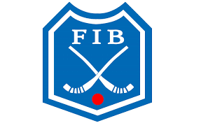 В Красноярском крае может появиться представительство федерации по хоккею с мячом