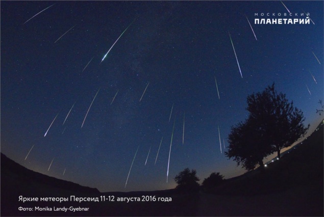 Жители Красноярского края смогут увидеть самый популярный звездопад года