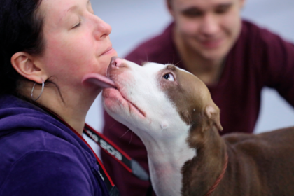 Названа неожиданная опасность парацетамола