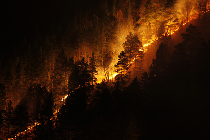 В России потушили все лесные пожары