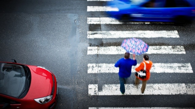 «Школа доносчика»: сообщающим о нарушениях ПДД предлагают платить
