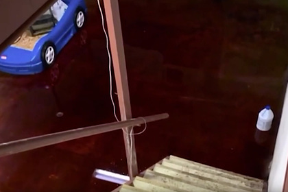 Жилой дом затопило кровью и останками животных