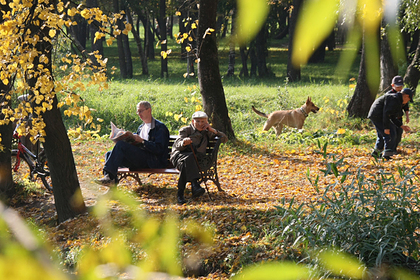 Аномальной погоде в России дали объяснение