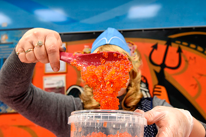 Россиянам объяснили причины возможного дефицита красной икры 1