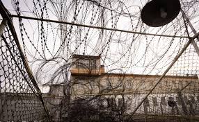 МВД заглушит сигнал сотовой связи в колониях для снижения количества телефонных мошенничеств