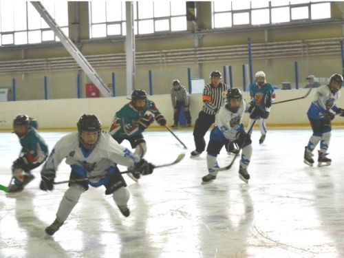 Ачинская команда «Бурые медведи» снова сразится на родном поле
