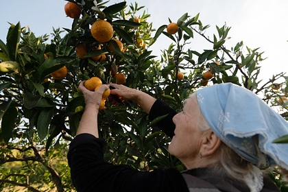 Россиянам раскрыли способы избежать рак