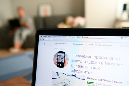 Россиян предупредили об аферах с цифровыми пропусками