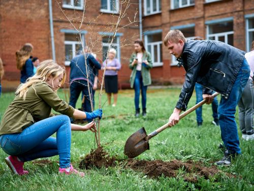 Благоустройство Ачинска: на весеннее озеленение города планируется выделить более 3000 саженцев