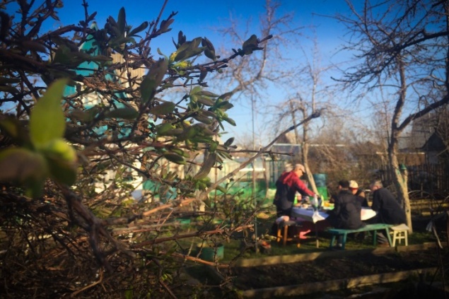 Роспотребнадзор написал правила поездок на дачу во время пандемии