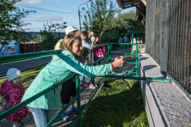 Директор зоопарка Красноярска назвал три причины отказа от покупки слона