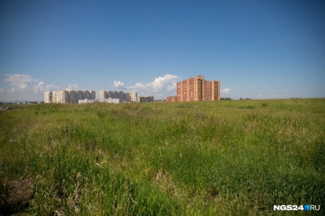 В правительстве отчитались о предпринимателях, получивших отсрочку по аренде федеральной земли