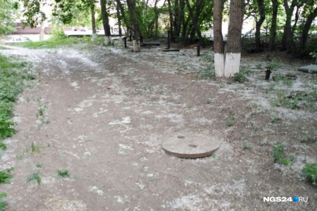 По Красноярску на месяц раньше полетел тополиный пух