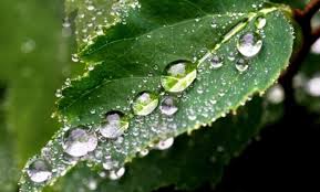 Короткая рабочая неделя в Красноярске началась с жары, а закончится похолоданием