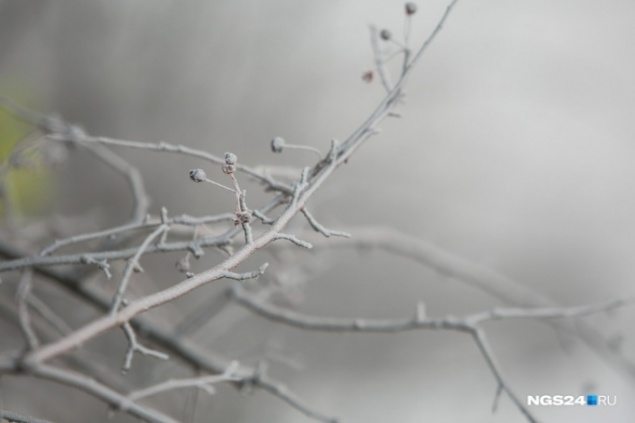 На Красноярск надвигаются 30-градусные морозы