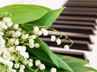 План культурных и спортивных мероприятий на праздничные выходные