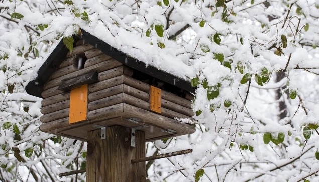 11 уютных идей декора для вашего сада зимой